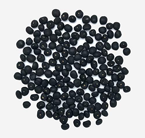 GREEN WORLD Yellow Nepali Shatavari/Asparagus Racemosus Seeds For Gardening And Farming (10 Seeds) (B08BP7RJN3) Amazon Price History, Amazon Price Tracker