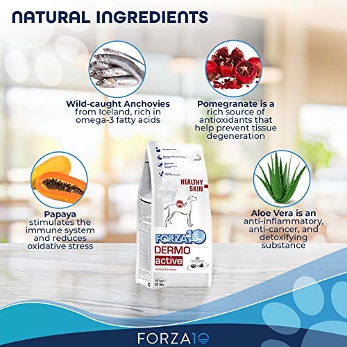 Forza10 Dermo Allergy Dog Food, Dog Food for Allergies and Itching, Dry Dog Food for Skin Allergies, Fish Flavor… - Image 3