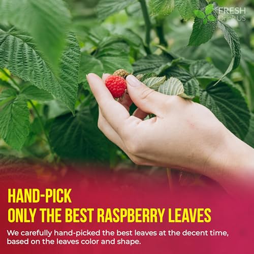 Image of FreshDrinkUS, Premium Tea Herbal Loose Leaves, Tea for Tea Lovers, Loose Leaves Tea, Natural, Pure, Vegan