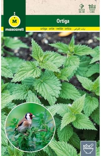 Mascarell Semillas, ORTIGA, Semillas de Hierbas Aromáticas para P...