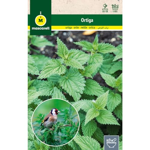 Mascarell Semillas, ORTIGA, Semillas de Hierbas Aromáticas para Plantar, Crea tu Propio Huerto en Casa, 0,4 Gramos