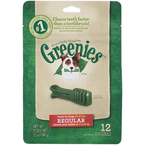 Greenies-Dental-Treat-For-Dogs-Regular-Size Greenies Dental Treat For Dogs Regular Size