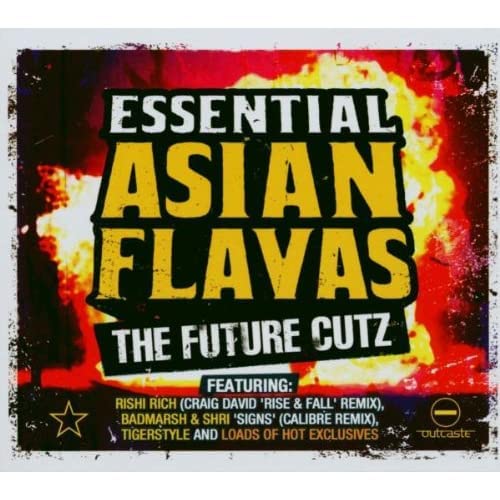 Essential Asian Flavas the Future Cutz [Audio CD]