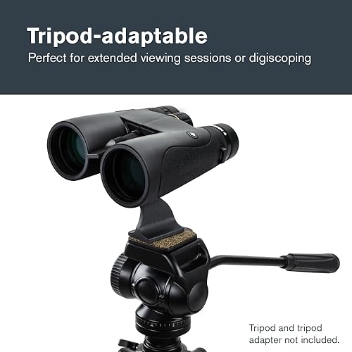 Miniatura 6 de Celestron Binoculares Nature DX de 12 x 50 pulgadas, binoculares para exteriores y observación de aves, totalmente multicapa con prismas BaK-4,