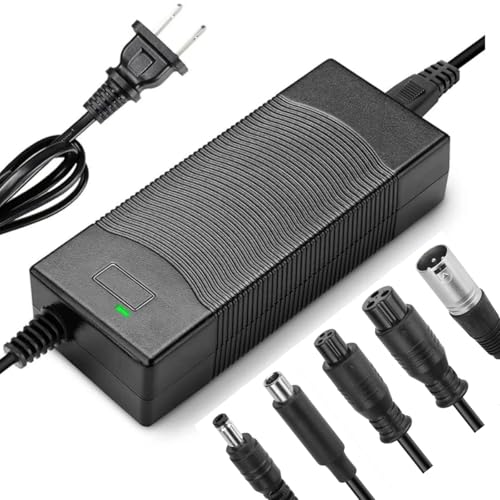 HERISKEER 29.4V 2A Universal Charger 5 Plugs for 24V 25.2V 25.6V 25.9V Lithium LiFePO4 Battery Charger Replacement 29.4 Volt 1.5A 1A Power Supply Cord
