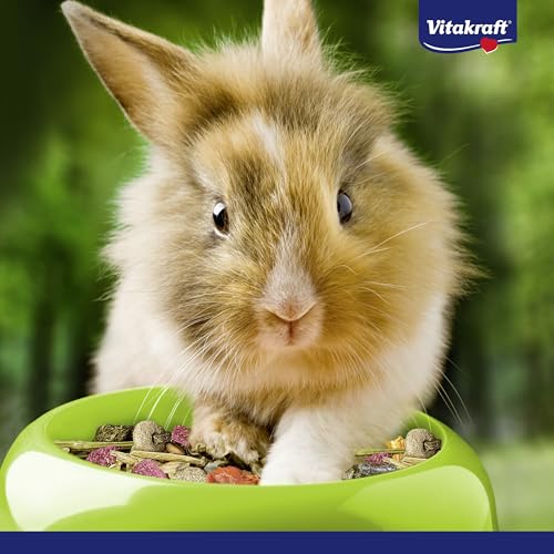 Vitakraft Menu Vital, Zwergkaninchen Futter, mit Luzerne, mit Apfel, mit Kürbis, angereichert mit Kräutern, ohne Zusatz von Zucker (1x 3kg)