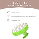 SILENCIO Hair Scalp Massager Shampoo Brush, Soft Silicone Bristle, Dry and Wet Hair Scalp Scrubber Brush for Hair Growth, Dandruff Removal, Relax, Blood Circulation (Green) gallery image