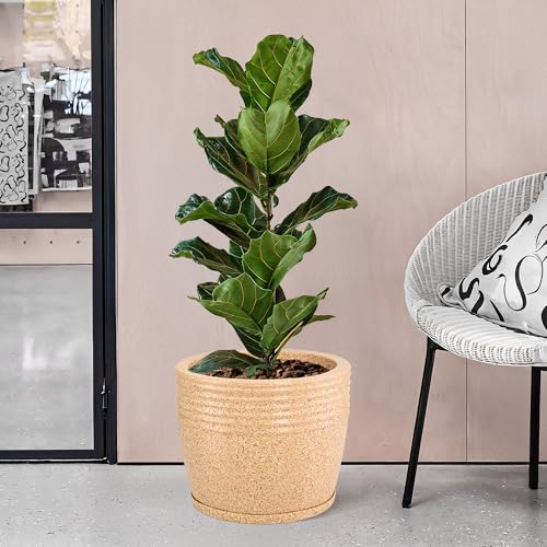 Image of Kuber Industries 12-Inch Roto Mould German Polymer Big Size Flower Pot with Bottom Tray | Indoor /Outdoor Tree Gamla Planter for Living Room, Resorts, Hotels, Terrace & Garden | Marble Sunshine - Sand