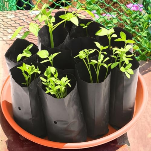 Image of cocogarden Plastic UV Protected Poly Grow Bag for Seedling Nursery Cover Plant Bags (Black, 4 x 6 inch) - Pack of 100 | for Terrace and Balcony Gardening, Kitchen Vegetable and Flowering Plants