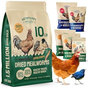 Non GMO Dried Mealworms For Birds: Give your chickens, ducks, and wild birds these premium non-GMO mealworms. These meal worms for wild birds are also perfect for your reptiles, fish, and more, making these dried meal worms for chickens a handy addit...