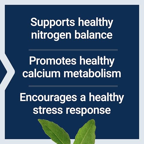Life Extension 01678 L-Lysine, 620 Mg, Essential Amino Acid For Healthy Nitrogen Balance, Calcium Metabolism, Stress Response & More, Gluten-Free, Non-Gmo, Vegetarian, 100 Capsules thumb #3