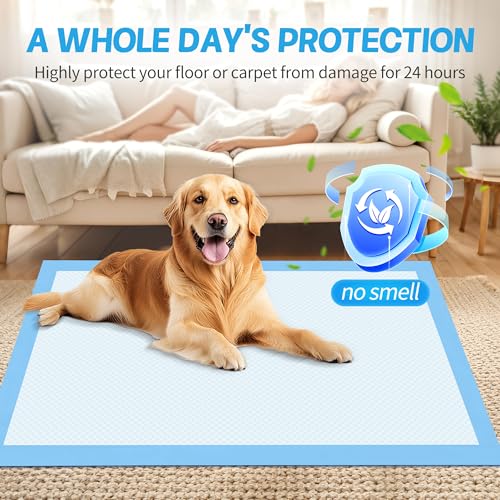 Image of 60 Count Extra Large Dog Pee Pads - 30 inchX36 inch Super Absorbent Disposable Training Urine Bed Pads Dogs Puppies - Thickened XXL LeakProof & Quick Drying Piddle Potty Incontinence Underpads for Baby Adults
