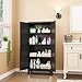 GAIOUS Metal Storage Cabinet With 2 Doors and 3 Adjustable Shelves, Black Kitchen Pantry for Food, Utility Cabinet for Laundry Room, Cupboard