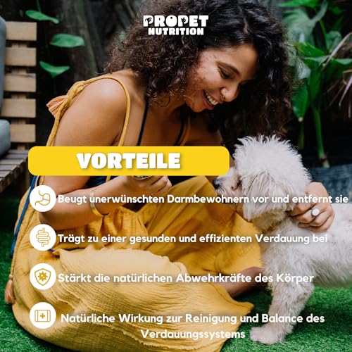 W-kur Hund Natürliche Abwehr gegen ungebetene Gäste – Darmwohl Hund – 120 Tabletten – Natürlicher Kräuterkomplex mit Probiotika & B-Vitaminen – Unterstützung des Darmmilieus & inneres Gleichgewicht