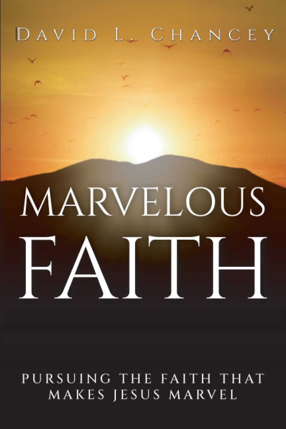 Marvelous Faith: Pursuing the Faith that Makes Jesus Marvel