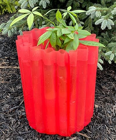 Gardeneer Red Insulated Plant Protectors, Set of 9 | Water-Filled Season Starters for Frost Protection & Early Planting | Encourages Tomato Growth, Warms Soil, Reusable Plastic Walls for Young Plants