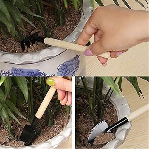 Image of Premium Gardening Tools Combo - Flower Cutter /Pruner /Gardening Claw Gloves /Hand Cultivator, Big Trowel, Garden Fork (Bonsai Tool)