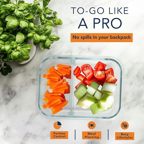 Image of Glass Lunch Box with 2 Compartments | Leakproof Borosilicate Glass Lunch Container with Airtight Lid | BPA Free Tiffin Box for Office, School & Travel (980ml)