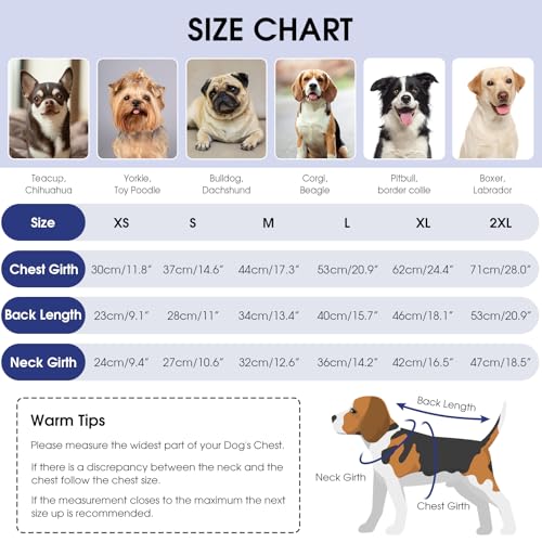 Queenmore Pullover für kleine Hunde | Warm & Bequem | Stretch Hundepulli | Malteser, Pomeranian, Pudel, Shih Tzu (Blau, S)