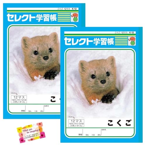 日本製 【使いやすい定番ノートです!】 学習帳 こくご ひらがな カタカナ 漢字練習 授業 学校 塾 小学校1〜3年生向け 十字リーダー 12マス 30枚 【2個セット】
