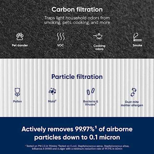 BLUEAIR Blue Pure 211+ Genuine Replacement Filter, Particle and Activated Carbon, Fits Blue Pure 211+ Air Purifier (Non-Auto)