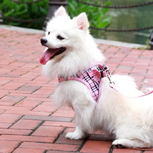 Suredoo Hundegeschirr Kleine Hunde mit Leine, Anti Zug Geschirr Reflektierend Atmungsaktiv Brustgeschirr, Welpengeschirr für Kleine Hunde (Rosa Kariert, XXS, Brust: 22-24cm)