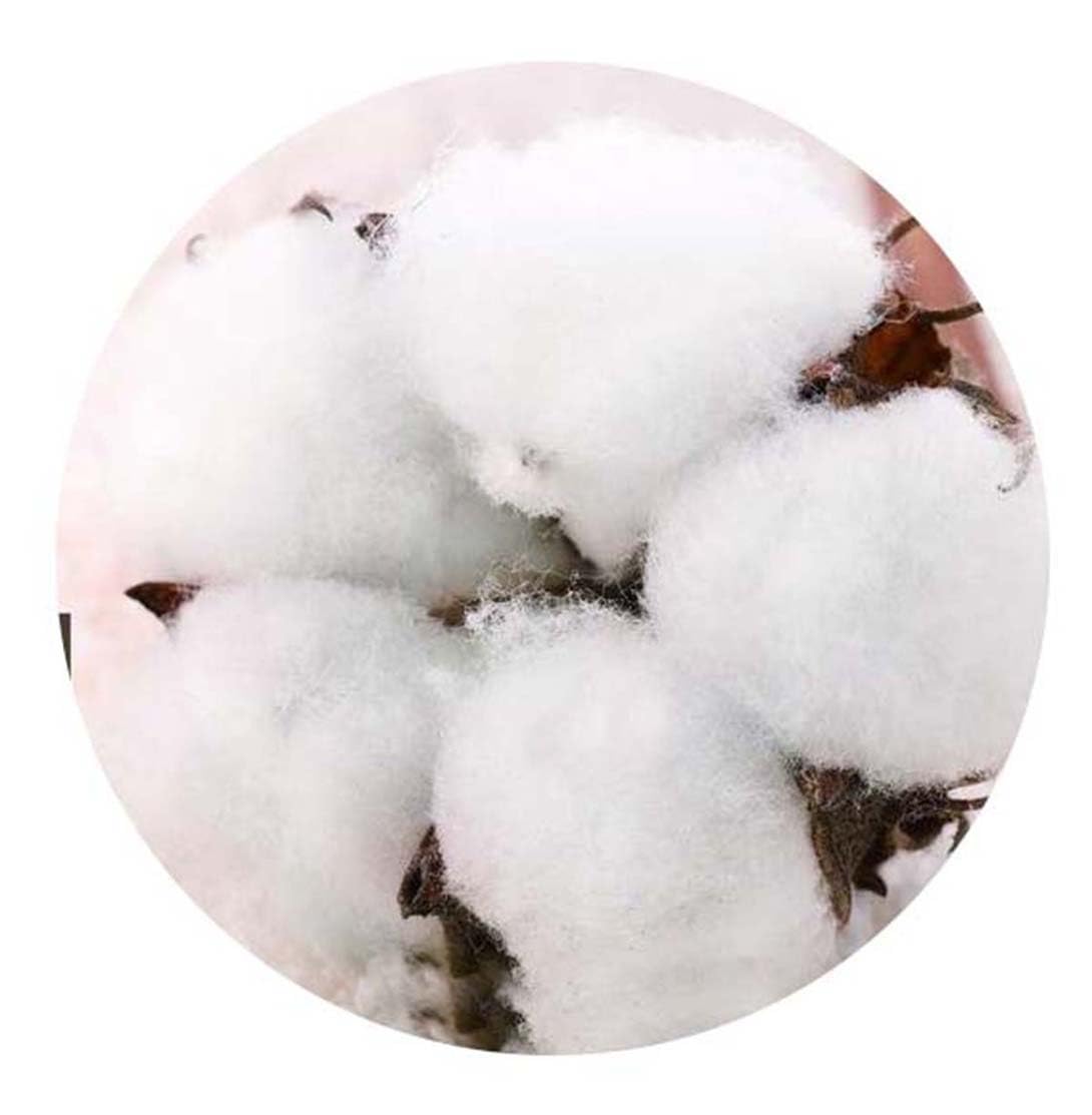 Cuscino per panca da interni in cotone, per divano a 2/3 posti, morbido e confortevole, per casa, giardino, patio, altalena, materasso spesso da pavimento, lunghezza 100 / 120 cm (60 x 35 cm