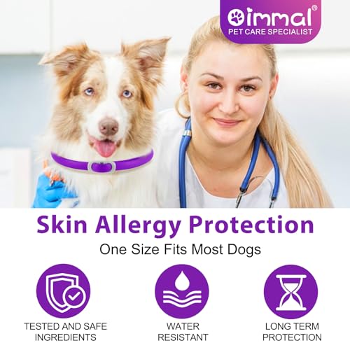 Zeckenhalsband für Hunde 4 Stück, Zecken-Flohschutz Halsband für Hunde, Verstellbar Flohhalsband für Hunde 60 cm, 24 Monate wirksamer Schutz gegen Zecken Und Flöhen | Wasserfest