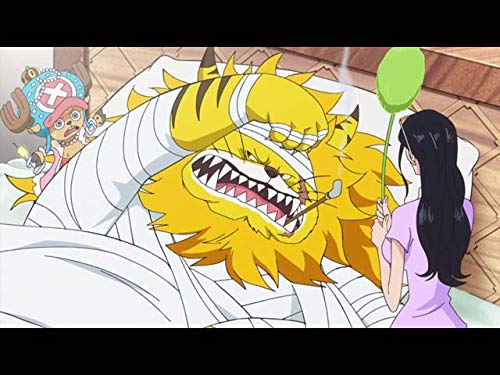 Amazon Co Jp ワンピース シーズン7を観る Prime Video Amazon Co Jp ワンピース シーズン7を観る Prime Video