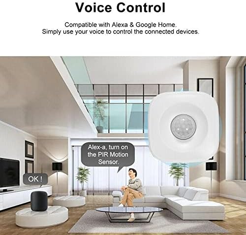 A living room scene with the motion sensor and smart speakers (Alexa and Google Home), demonstrating voice control functionality.