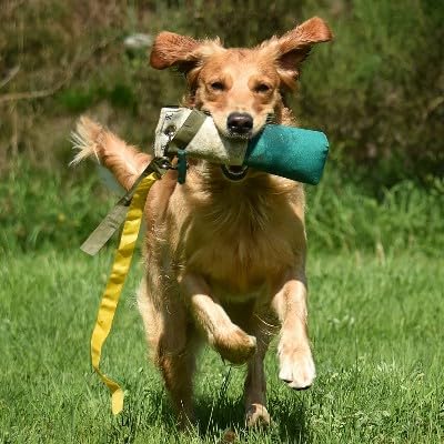 Romneys Longtail Marker Dummy | Standard Dummy 500g mit Zwei Flatterbändern | Zweifarbig | Weiß-Grü