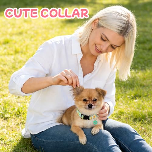 Collar ajustable para perros pequeños, 3 piezas miniatura 6