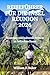 REISEFÜHRER FÜR DIE INSEL RÉUNION 2026: Abenteuer und kulturelle Schätze im Indischen Ozean
