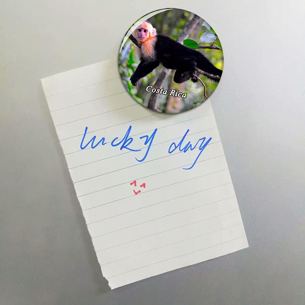 Costa Rica Fridge Decorative Bottle Opener Tourist City