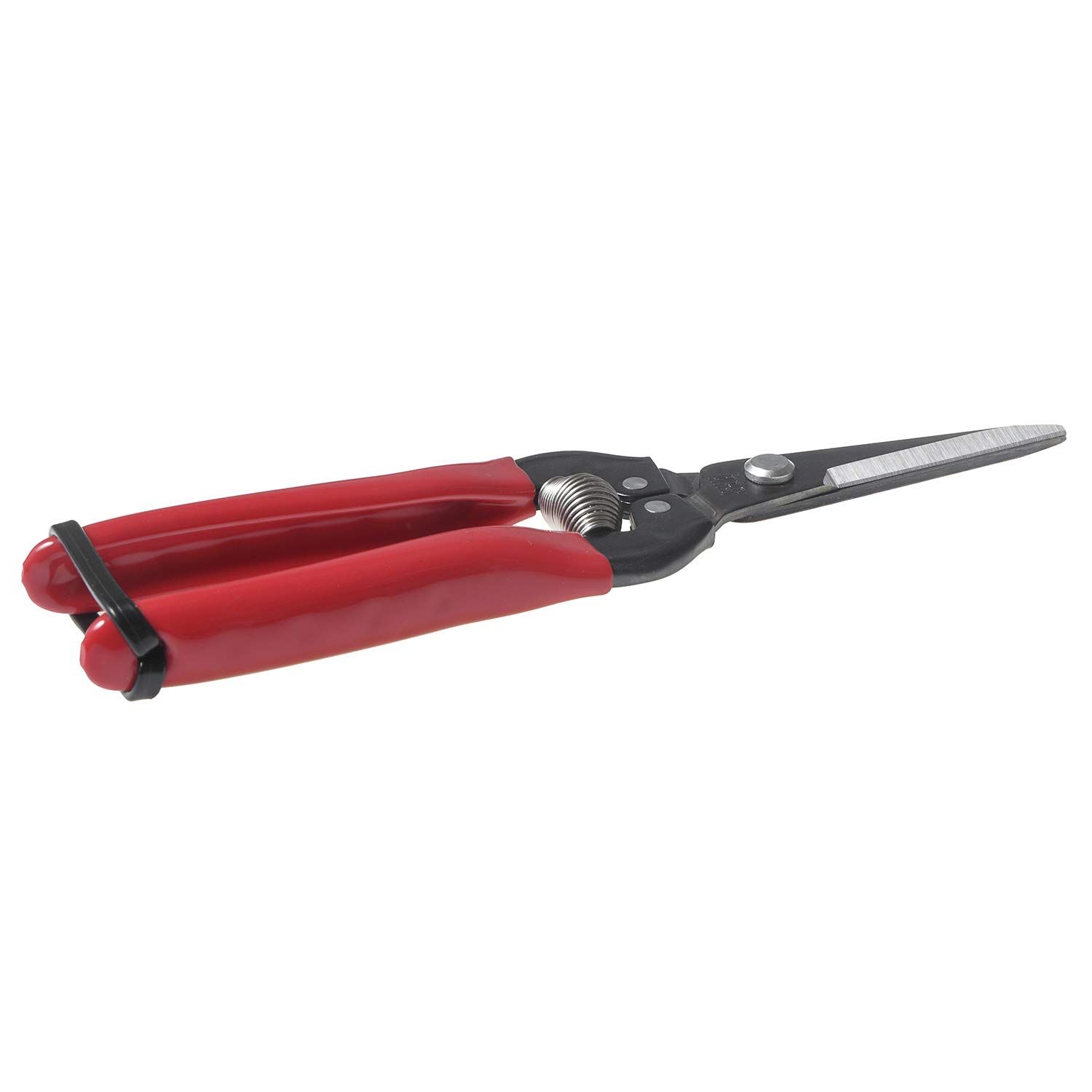ARS 300L Fruit Pruner, Cuts Stems Upto 8 mm, Used for Fruits, Grapes, Bonsai, Flower, Vegetable Harvesting & Nursery