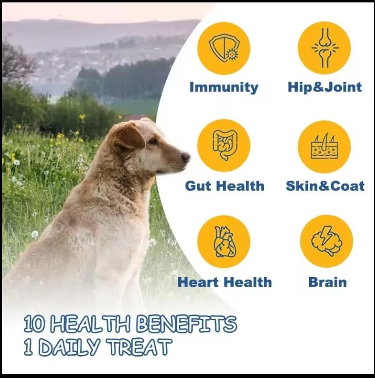 Liquid Vitamin B-12 Complex Drops for Dogs and Cats - Nutritionally Balanced Vet Formulated - Energy, Appetite, Mood - Recovery - Helps Cognition and Brain, Joints, Skin, Digestion - Image 6