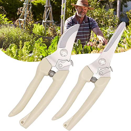 12 Best Pruning Shears For Indoor Plants Opinions of 57,825 Consumers