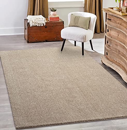 the carpet Tapis Moderne à Poils Courts et épais - pour Salon - Effet mélangé - Brillance élégante - Beige - 80 x 150 cm