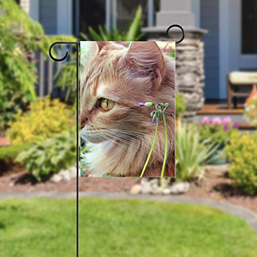 Drapeau de jardin chat mignon double face pour décoration extérieure de maison - 5
