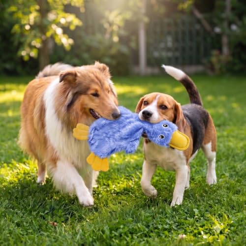Image of Best Pet Supplies Crinkle Dog Toy for Small, Medium, and Large Breeds, Cute No Stuffing Duck with Soft Squeaker, Fun for Indoor Puppies and Senior Pups, Plush No Mess Chew and Play - Blue (PT333)