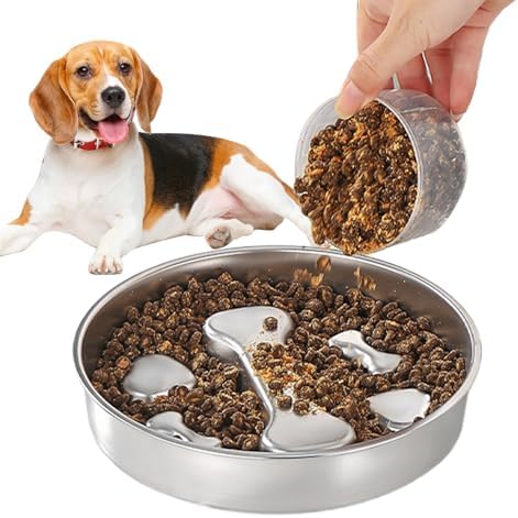 Ciotola Antingozzo,Ciotola Per Cani Che Mangiano Velocemente | Co...