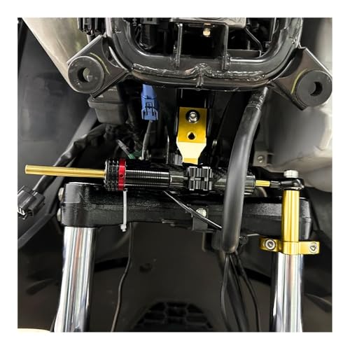 Stabilisateur direction réglable et support phare moto Forza 350