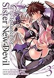 The Testament of Sister New Devil Vol. 3