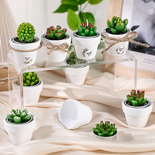 MTLEE 18 peças velas suculentas cacto tealight velas decorações plantas velas com mini castiçais de