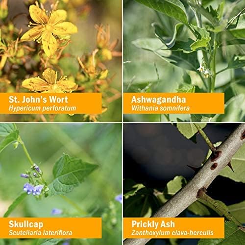 Miniatura 7 de Herb Pharm Fórmula herbaria líquida Good Mood con hierba de San Juan para un equilibrio emocional saludable, 1 onza