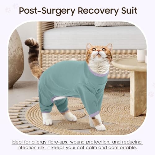 DENTRUN Cat Clothes for Hair Control with Hair Sticky Fabric - Soft Recovery Suit & Breathable Lint-Resistant Cat Sweater for Cats Only, Kitten Onesie Pajamas, S, Bean Green - Thumbnail 6