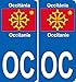 JINTORA 2 Stickers - 2 Autocollants - Autocollant Plaque immatriculation Auto département OC Sticker Occitanie Logo 11 98x45 mm