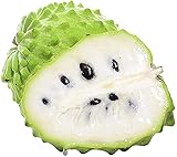 Flower field Story 30 piezas de semillas de Annona Chirimoya Semillas frescas de fruta de manzana de azúcar de reliquia sin OMG para plantación de granjas de jardín al aire libre en interiores