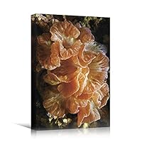 SIGNWIN Canvas Wall Art Pale Orange Fox and Ridge Coral Reef Underwater in Blue Sea Marine Life Ocean Photography Realism Beach Closeup Colorful Neon for Living Room, Bedroom, Office - 12x18 inches