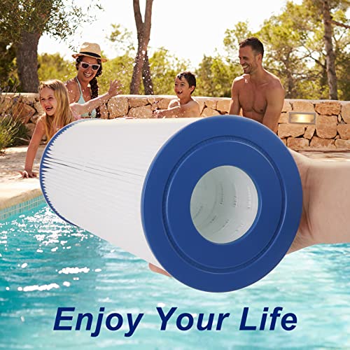 image for Yougfin PRB-25IN Filter Cartridge, Hot Tube Filter, Spa & Pool Filter 
